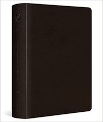 ESV Single Column Journaling Bible, Large Print