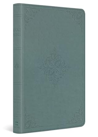 ESV Bible, Value Thinline Bible, Paris Sky