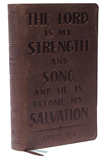 KJV, Personal Size Reference Bible, Verse Art Cover Collection, Genuine Leather, Brown