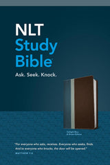 NLT Study Bible, Imitation Leather, Twilight Blue & Brown Edition