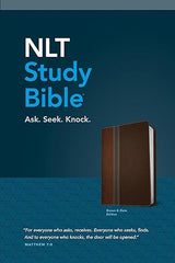 NLT Study Bible, TruTone, Brown-Slate