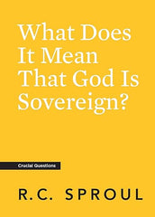 What Does It Mean That God Is Sovereign?