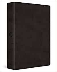 ESV Bible, Large Print Personal Size, TrueTone Black