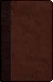 ESV Large Print Thinline Reference Bible