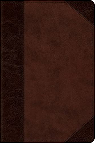 Holy Bible ESV - Personal Reference Bible