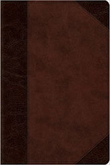 Holy Bible ESV - Personal Reference Bible