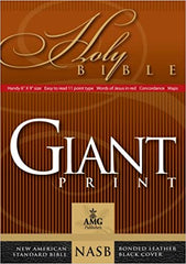 NASB Holy Bible, Giant Print