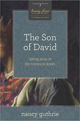 The Son of David - Seeing Jesus in the Historical Boos