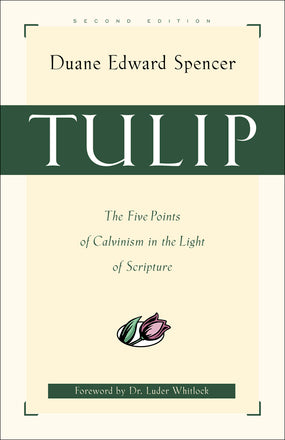Tulip