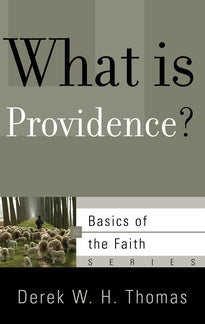 What Is Providence?