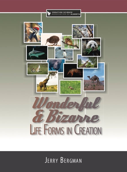 Wonderful and Bizarre Life Forms in Creation